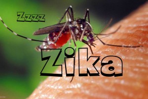 Obama pide a las autoridades sanitarias una respuesta rápida al zika