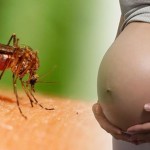 EE UU confirma el vínculo del virus del Zika con la microcefalia