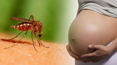 EE UU confirma el vínculo del virus del Zika con la microcefalia