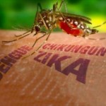Preocupa alta incidencia zika en Haina casi 200 casos