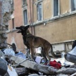 Continúa elevándose la cantidad de muertos por terremoto en Italia