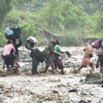 Suman ya 830 los muertos por Matthew en Haití