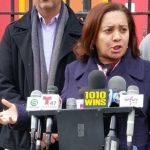 Senadora dominicana NY apoya congresistas contra agente ICE ante corte Queens