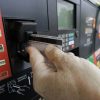 Autoridades NJ advierten sobre fraude tarjetas de débito en gasolineras