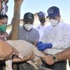 Ministro de Agricultura en RD inicia jornada de vacunación a 300 mil cerdos contra la Fiebre Porcina Clásica